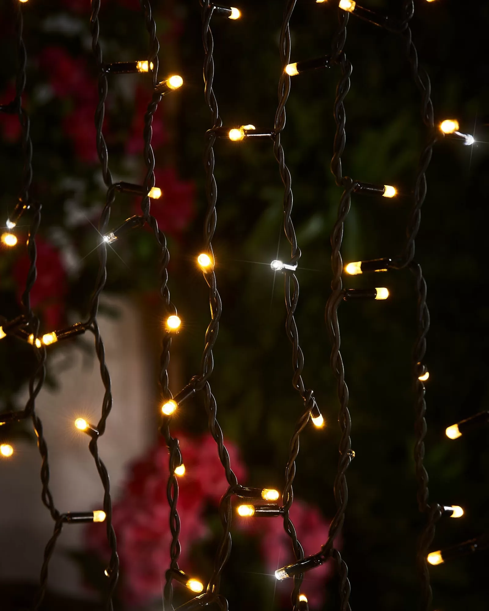 WeRChristmas Link Pro | Curtain & Net Lights^LINK PRO LED Curtain Lights, Black Cable, 2.5 M Drop, Warm White / White