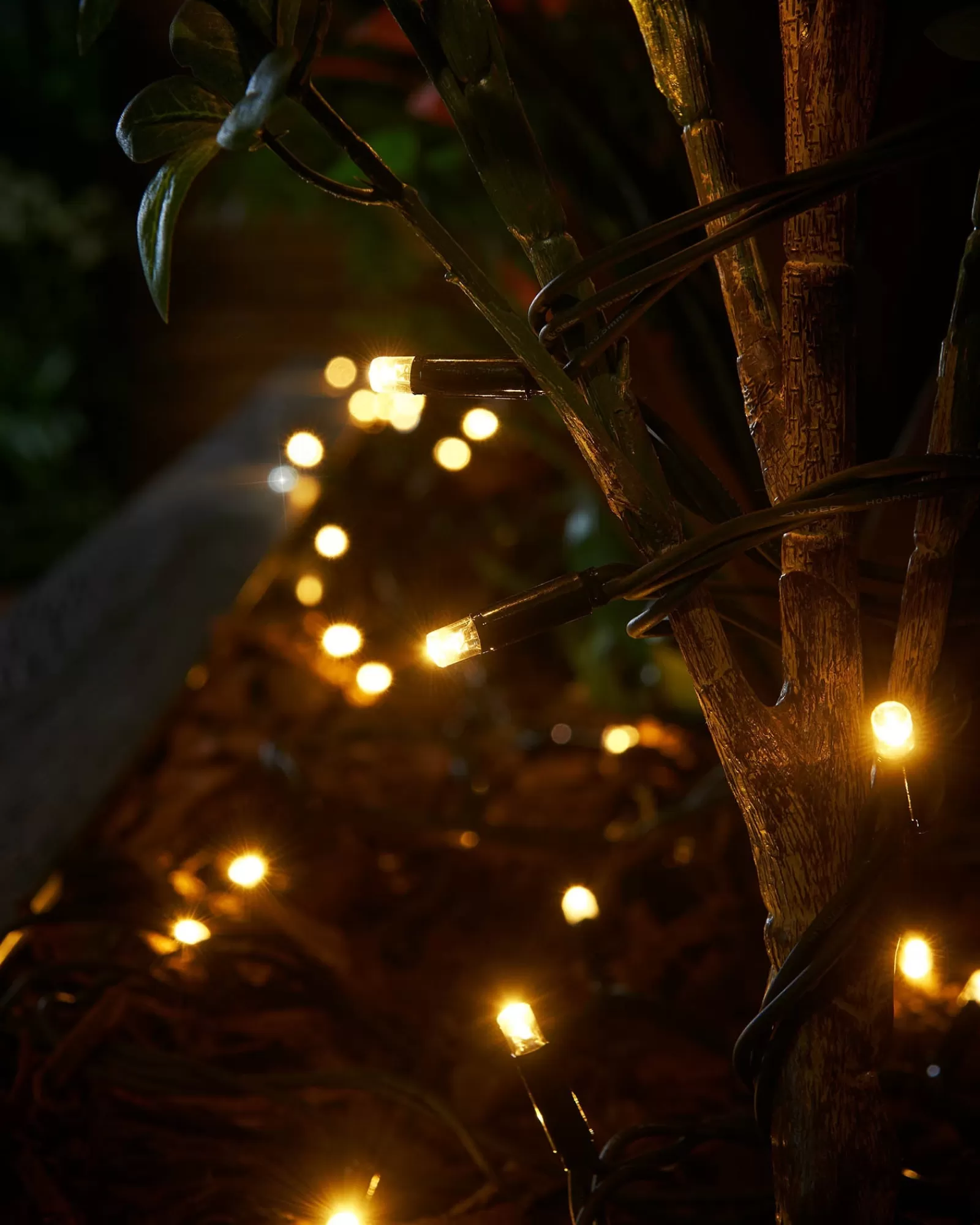 WeRChristmas Link Pro | Connectable Lights^LINK PRO Twinkle LED String Lights, Black Cable, Warm White / White