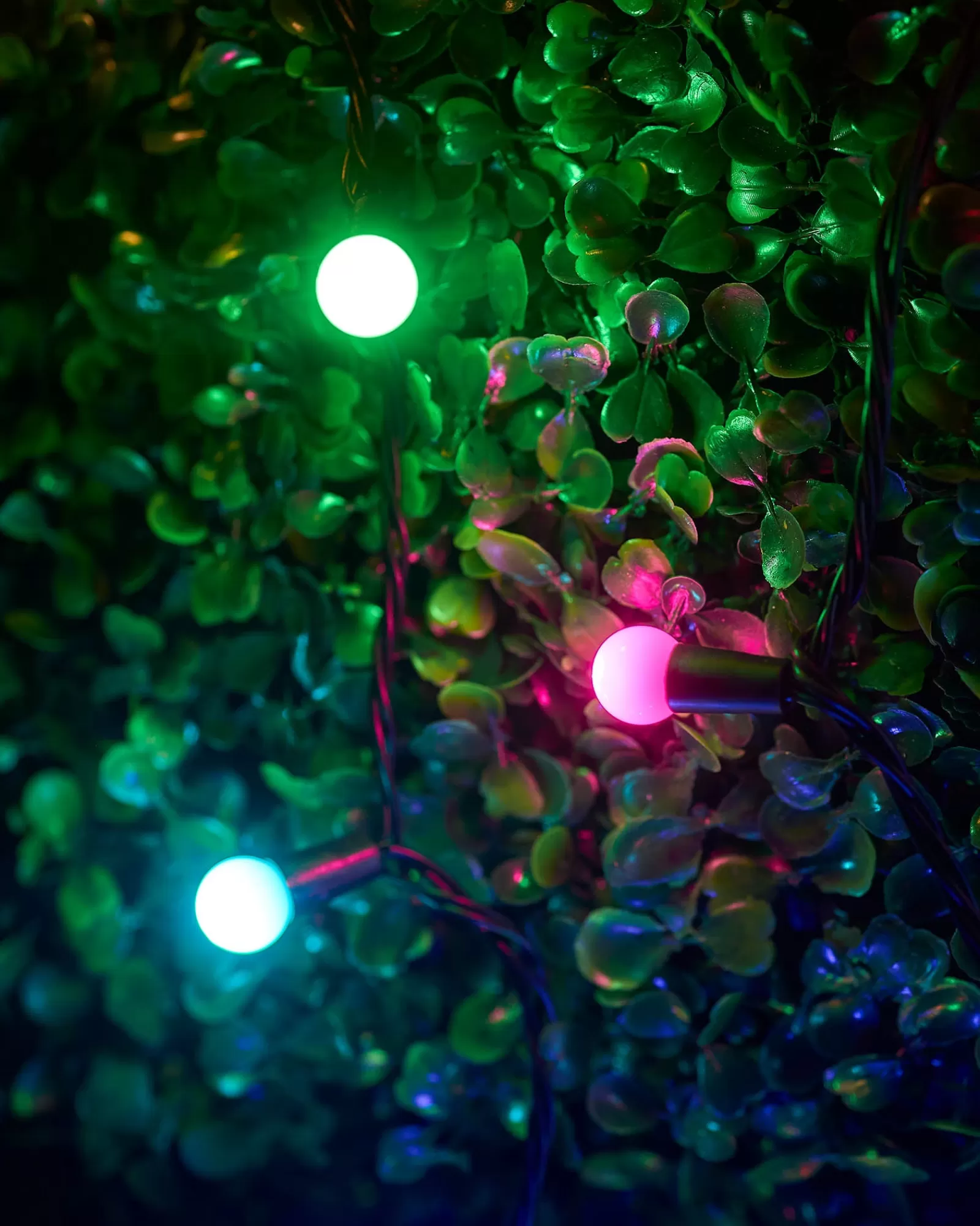 WeRChristmas Link Up | Fairy Lights^LINK UP LED Berry Lights, Black Cable, Pastel Multi Colour