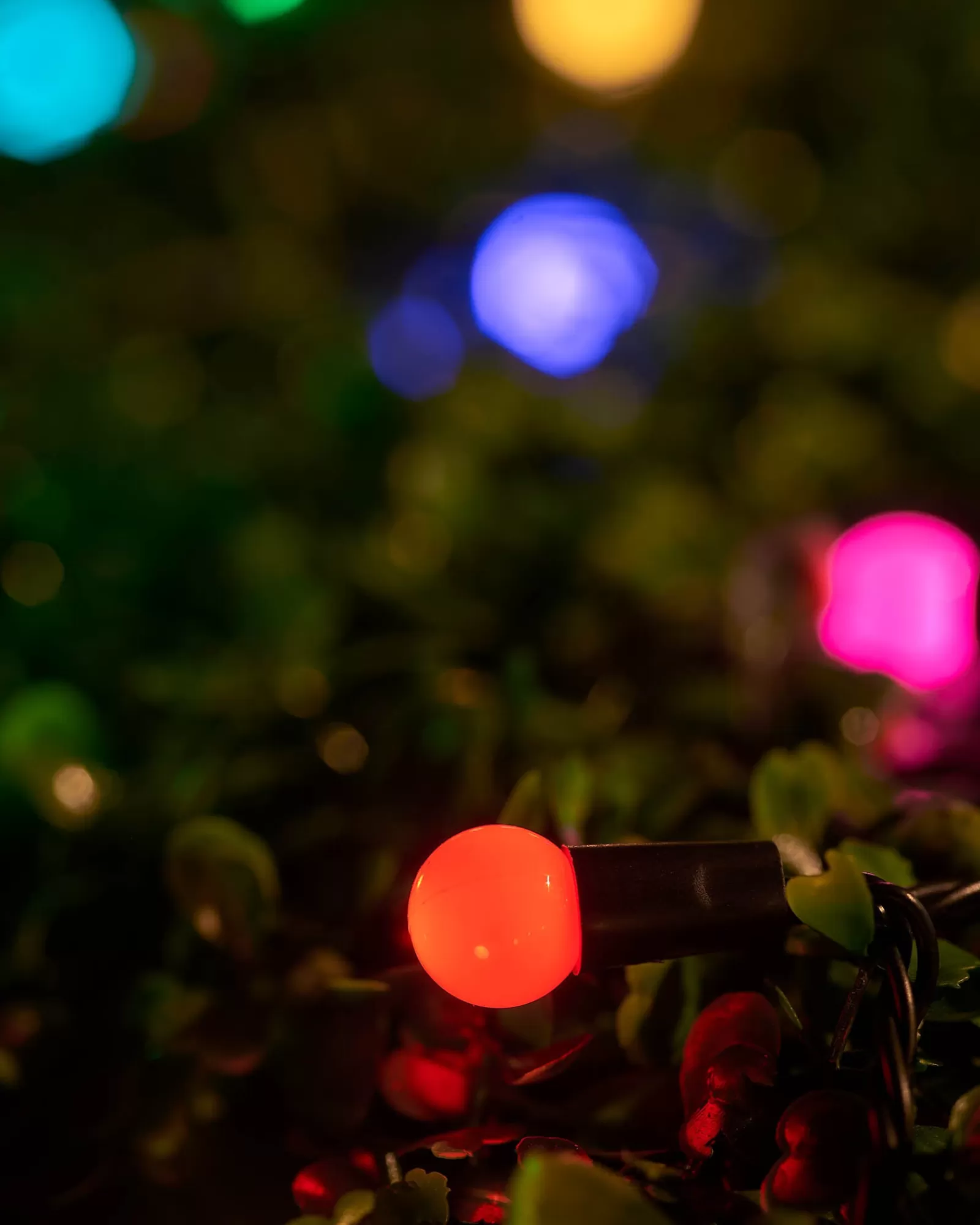 WeRChristmas Link Up | Fairy Lights^LINK UP LED Berry Lights, Black Cable, Pastel Multi Colour