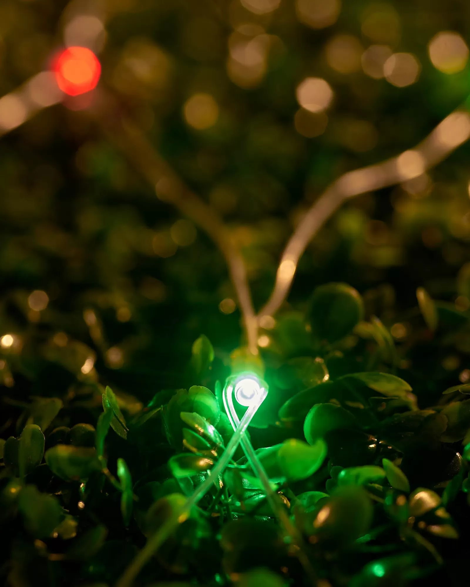 WeRChristmas Link Up | Curtain & Net Lights^LINK UP LED Net Lights, 2 M X 2 M, Multi Colour