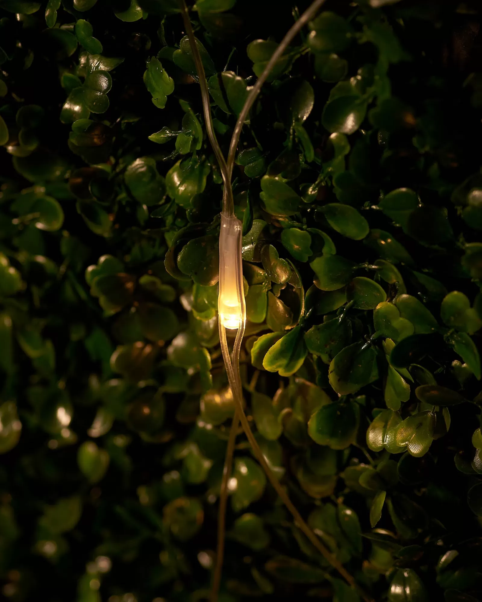 WeRChristmas Link Up | Curtain & Net Lights^LINK UP LED Net Lights, 2 M X 2 M, Warm White