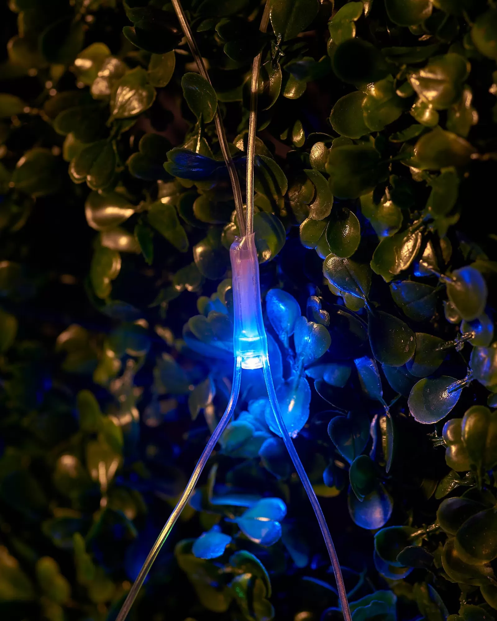 WeRChristmas Link Up | Connectable Lights^LINK UP LED Net Lights, 3 M X 3 M, Multi Colour