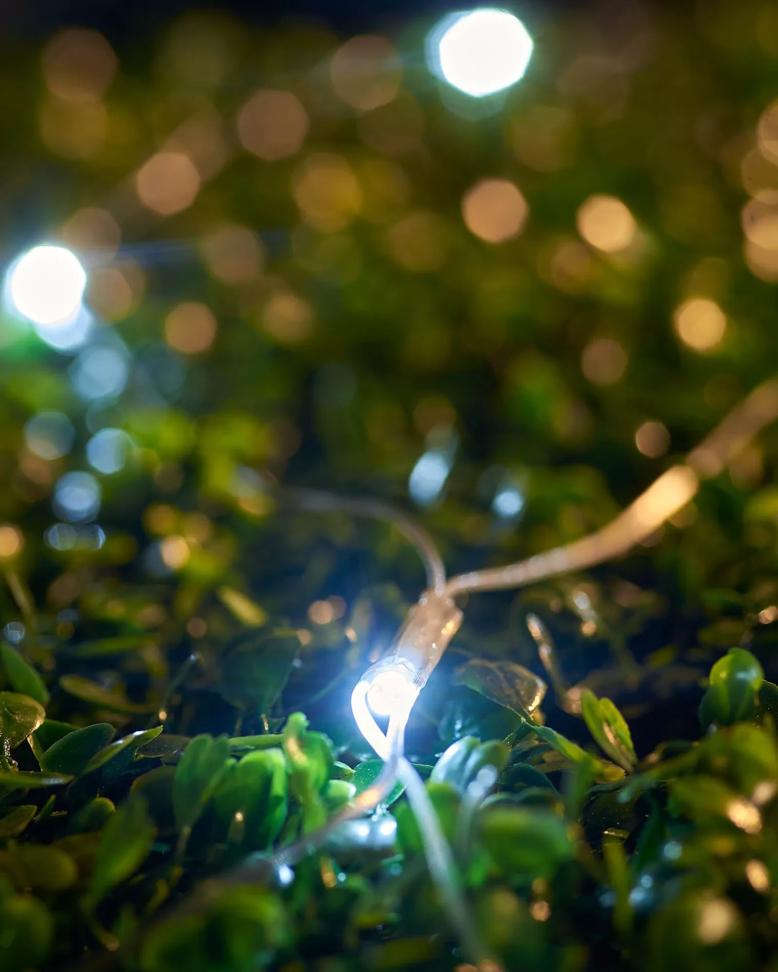 WeRChristmas Link Up | Curtain & Net Lights^LINK UP LED Net Lights, 3 M X 3 M, White