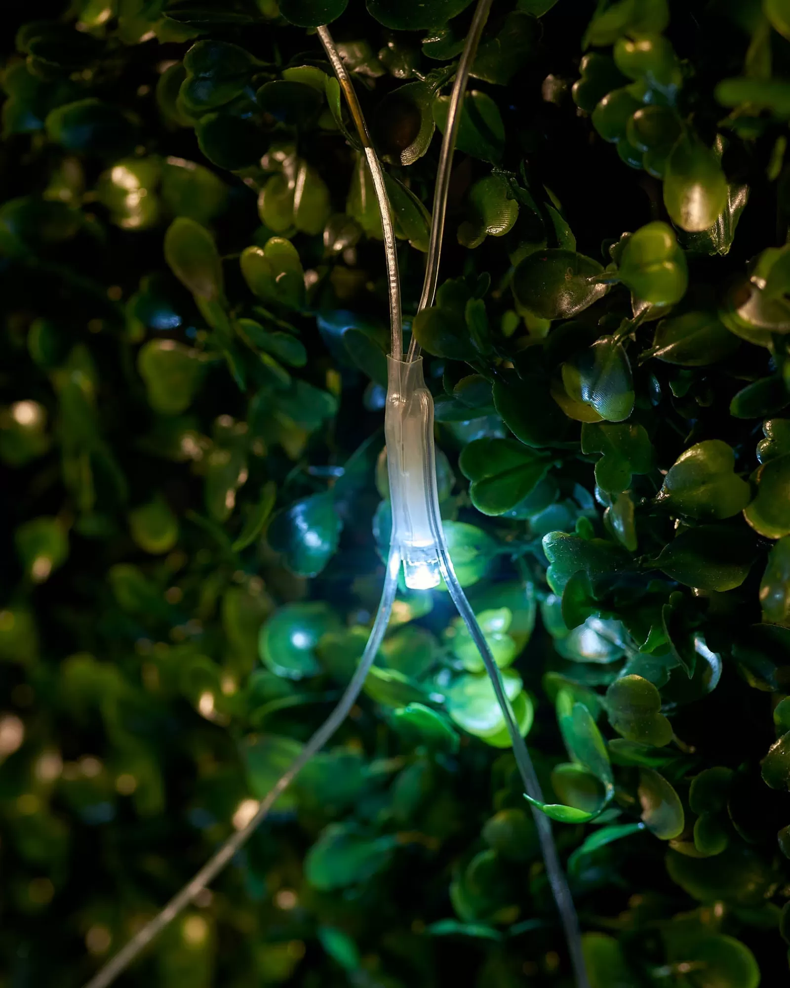 WeRChristmas Link Up | Curtain & Net Lights^LINK UP LED Net Lights, 3 M X 3 M, White