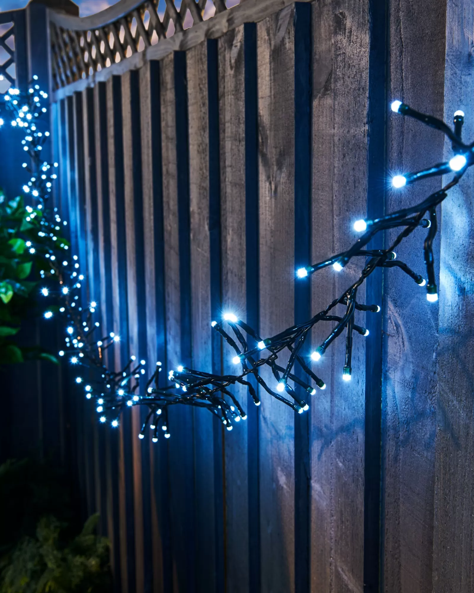WeRChristmas Cluster Lights | Tree Lights^Outdoor Cluster Multi-Function 500 LED Light String, Ice White