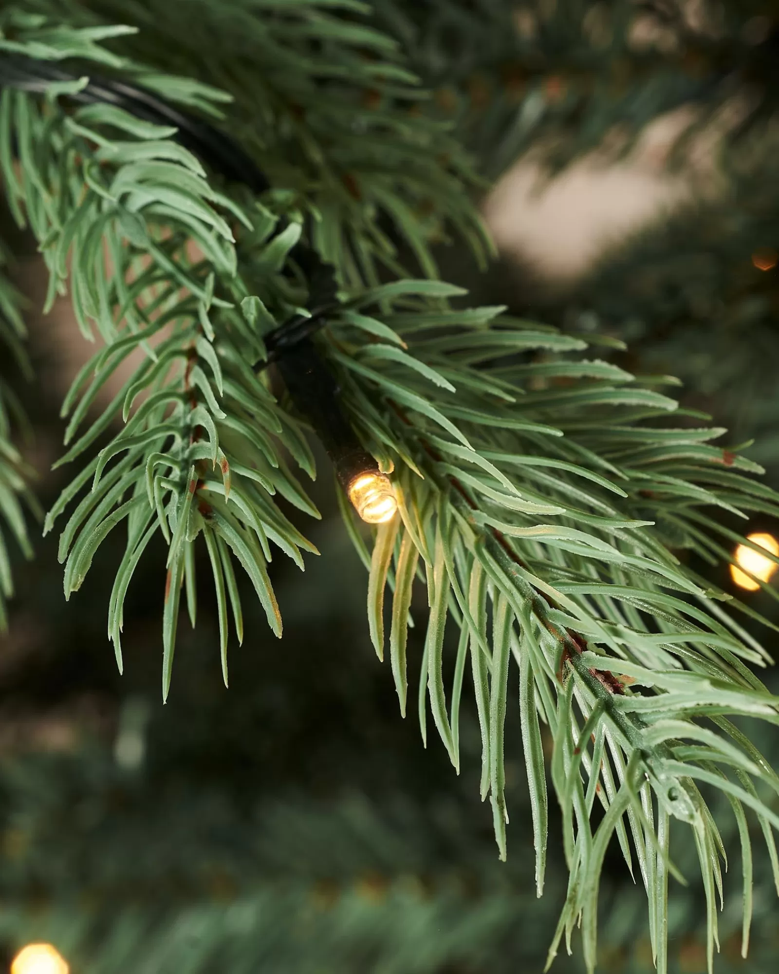 WeRChristmas Premium Christmas Trees | Pre Lit Christmas Trees^Pre-Lit Colorado Blue Spruce Christmas Tree, 7 Ft