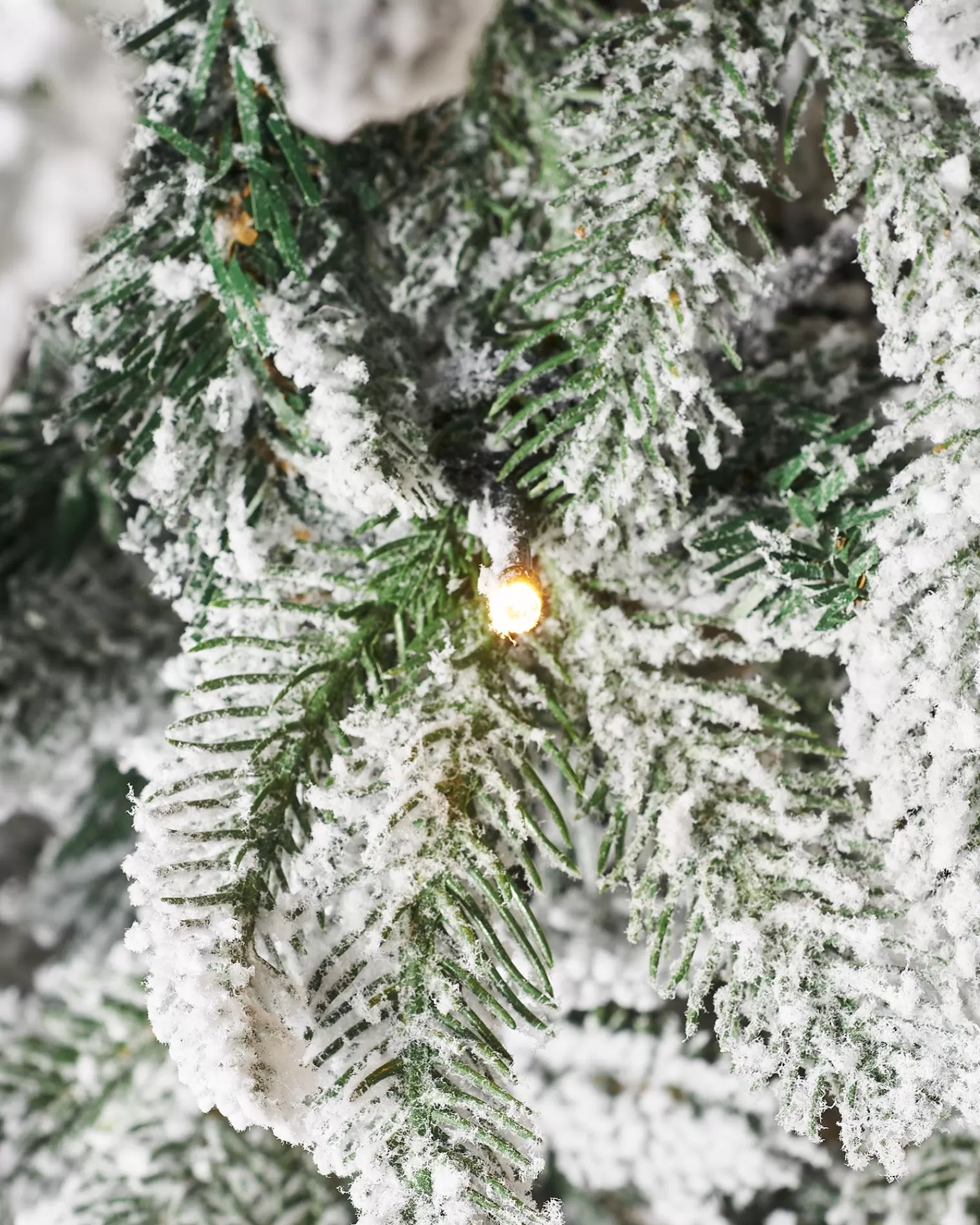 WeRChristmas Budget Christmas Trees | Snow Flocked Christmas Trees^Pre-Lit Decorated Snow Flocked Pop-Up Christmas Tree, 6 Ft