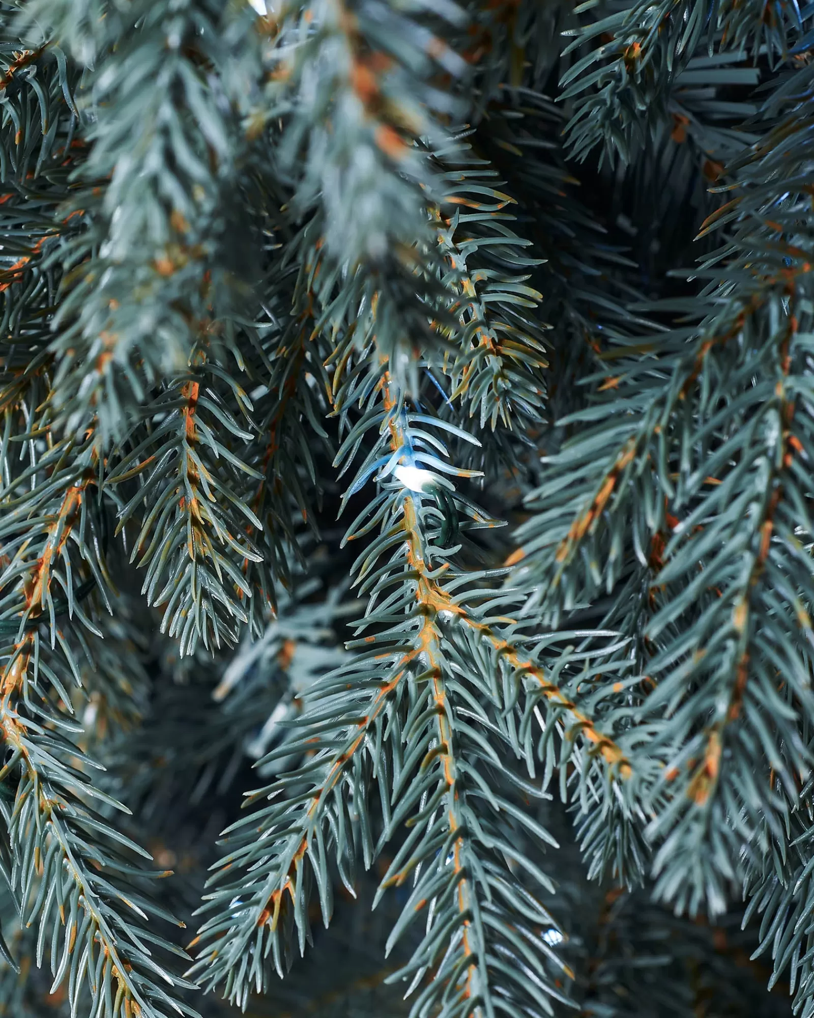 WeRChristmas Pre Lit Christmas Trees^Pre-Lit Mixed Pine Blue Christmas Tree, Dual LED White, 7 Ft