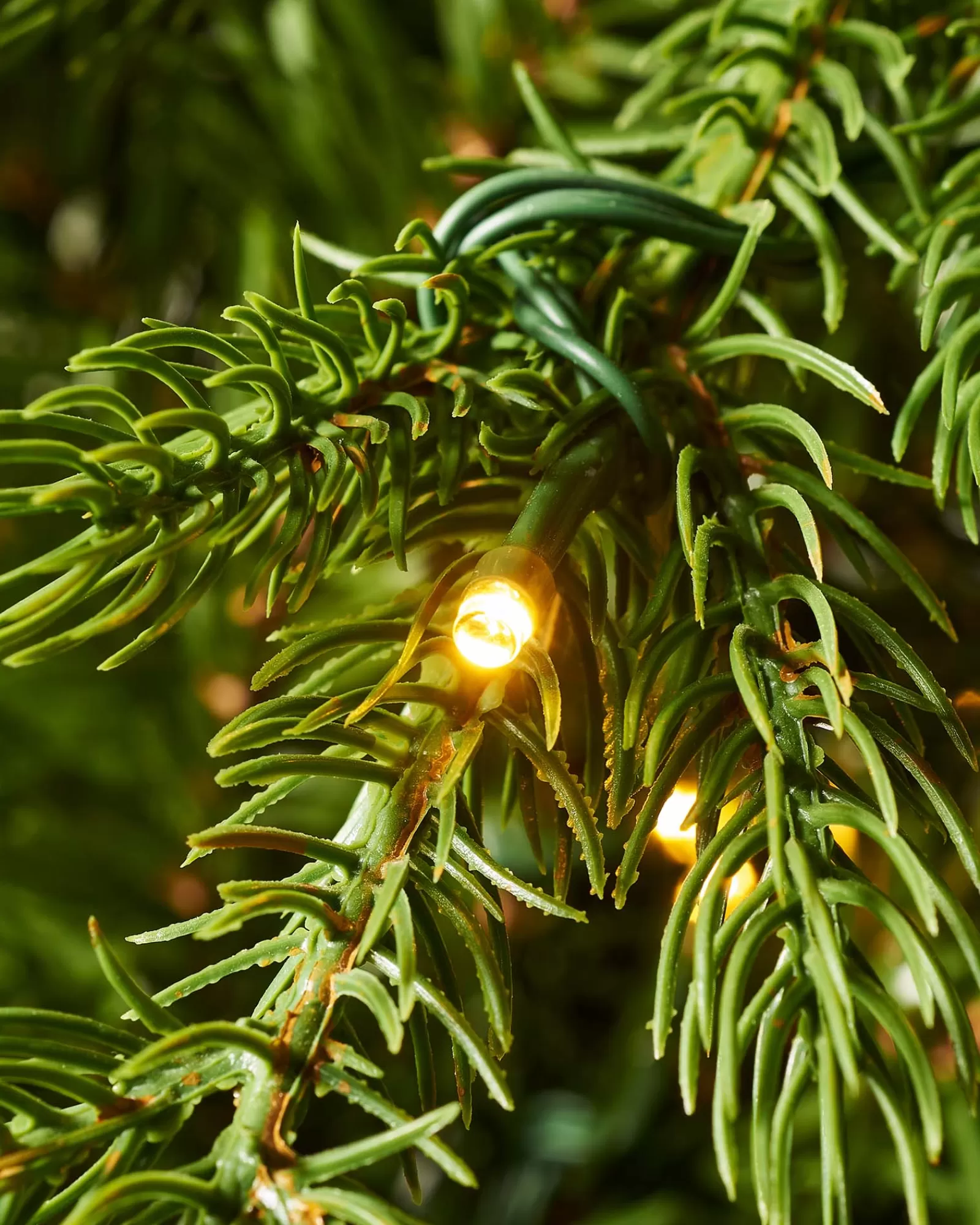 WeRChristmas Premium Christmas Trees | Pre Lit Christmas Trees^Pre-Lit Windsor Fir Christmas Tree, Dual Warm White, 8 Ft