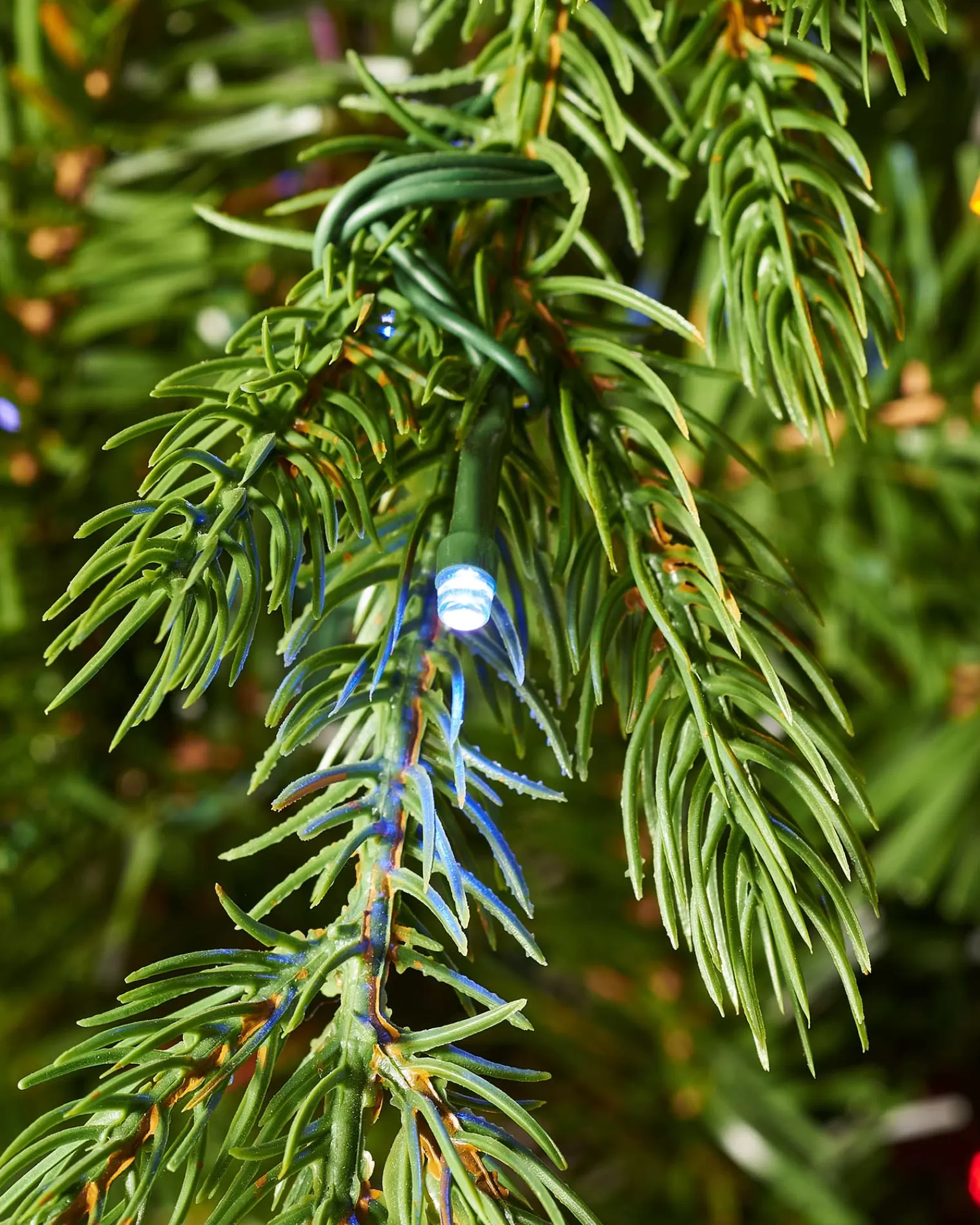 WeRChristmas Premium Christmas Trees | Pre Lit Christmas Trees^Pre-Lit Windsor Fir Christmas Tree, Dual Warm White, 8 Ft